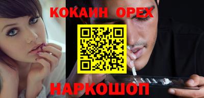 индика Кингисепп