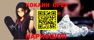 индика Кингисепп