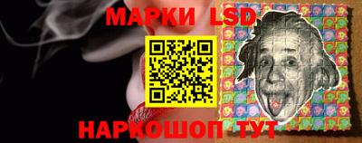 индика Кингисепп