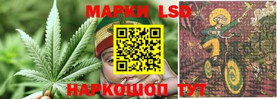 индика Кингисепп
