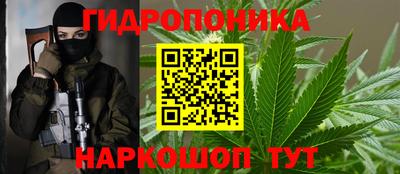 индика Кингисепп