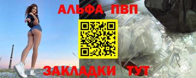 индика Кингисепп