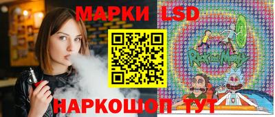 индика Кингисепп