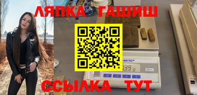 индика Кингисепп