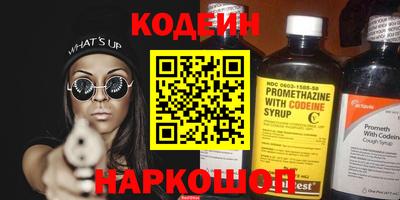 индика Кингисепп