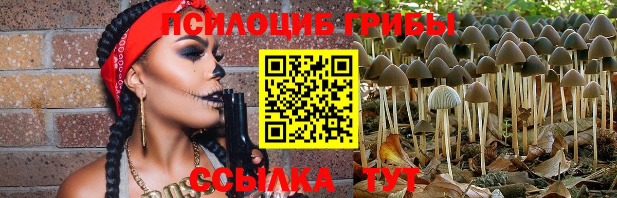 Псилоцибиновые грибы MAGIC MUSHROOMS Кузнецк