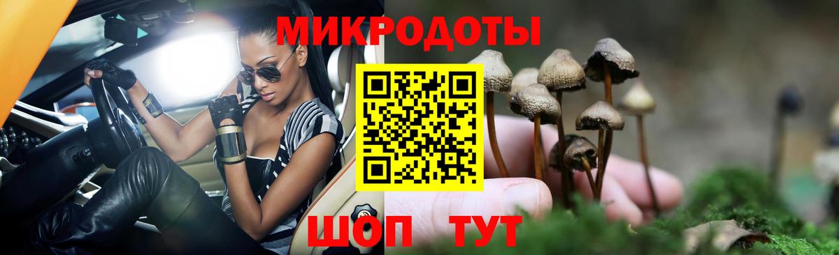 закладки  Вход с VPN  Кузнецк  Псилоцибиновые грибы мицелий 